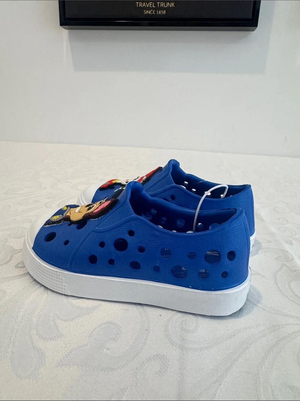 Harper Canyon Paw Patrol Mismatched Water Shoe
